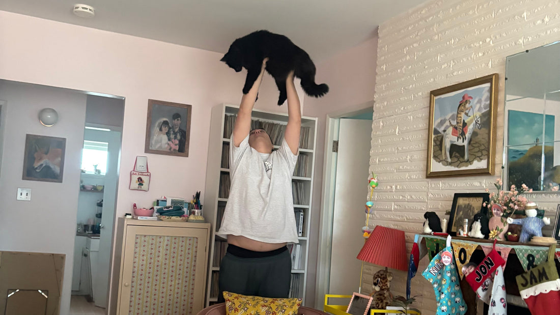 Hi, I am small business (& cat lifter) and I love to give you deals