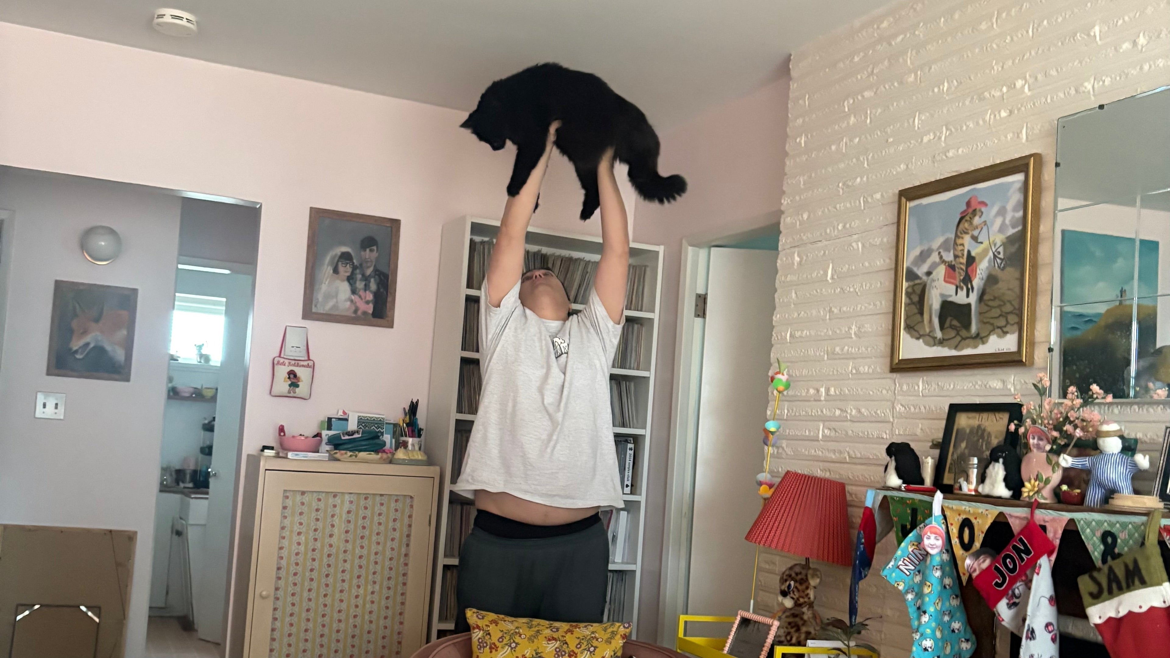 Hi, I am small business (& cat lifter) and I love to give you deals