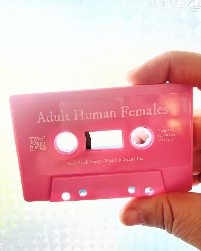 ADULT HUMAN FEMALES "Demo" cassingle cassette tape & zine