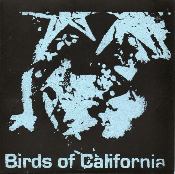 BIRDS OF CALIFORNIA / KRISTIN MESS "Split" seven inch record