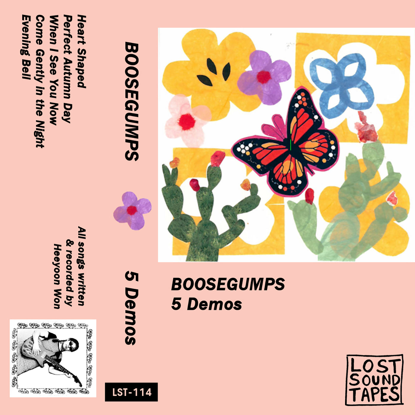 BOOSEGUMPS "5 Demos" cassette tape