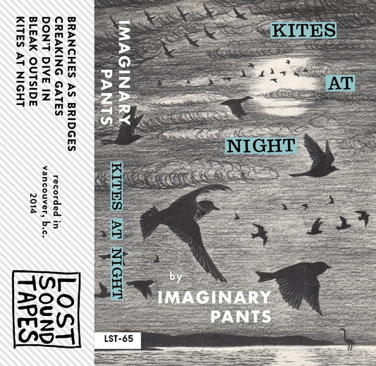 IMAGINARY PANTS "Kites At Night EP" cassette tape
